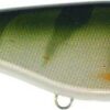 Buster Jerk II - Image 6