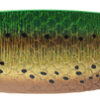 ABU Garcia Toby Salmo