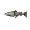SG 4D Line Thru Trout 25cm 180g - Image 3