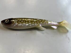 Wolfcreek Shad Handmade 29cm
