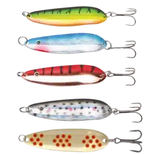 DAIWA MEGAFORCE RAIDER BETES KIT SKEDDRAG